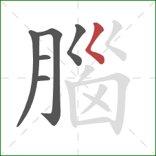 腦的笔顺第6画:撇点 腦的笔顺第6画:撇点