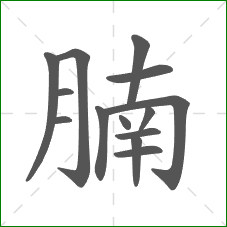 腩的部首 腩的部首