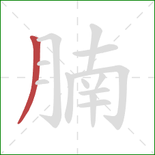 腩的笔顺第1画:撇 腩的笔顺第1画:撇