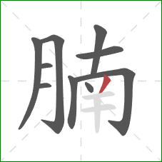 腩的笔顺第10画:撇 腩的笔顺第10画:撇