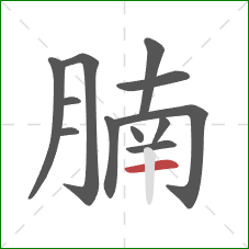 腩的笔顺第12画:横 腩的笔顺第12画:横