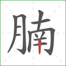 腩的笔顺第13画:竖 腩的笔顺第13画:竖