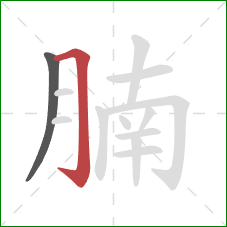 腩的笔顺第2画:横折钩 腩的笔顺第2画:横折钩