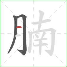 腩的笔顺第3画:横 腩的笔顺第3画:横