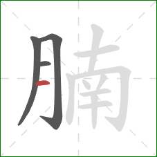 腩的笔顺第4画:横 腩的笔顺第4画:横