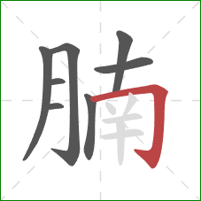 腩的笔顺第8画:横折钩 腩的笔顺第8画:横折钩