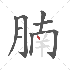 腩的笔顺第9画:点 腩的笔顺第9画:点