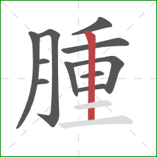 腫的笔顺第11画：横