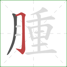 腫的笔顺第2画：横折钩