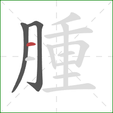 腫的笔顺第3画：横