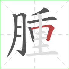 腫的笔顺第8画：横折