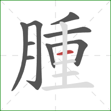 腫的笔顺第9画：横