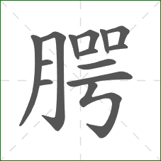 腭的部首 腭的部首