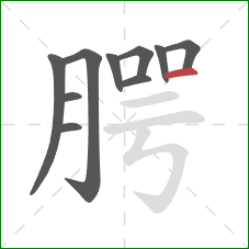 腭的笔顺第10画:横 腭的笔顺第10画:横