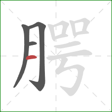 腭的笔顺第4画:横 腭的笔顺第4画:横