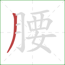 腰的笔顺第1画：撇