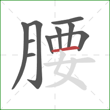 腰的笔顺第10画：横