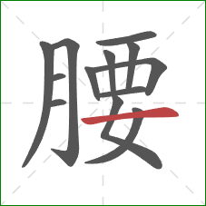 腰的笔顺第13画：横