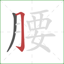 腰的笔顺第2画：横折钩