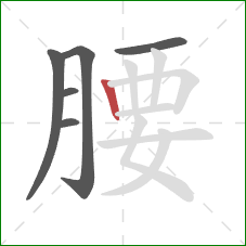 腰的笔顺第6画：竖