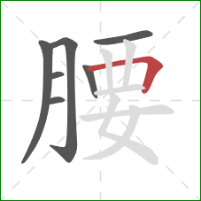 腰的笔顺第7画：横折