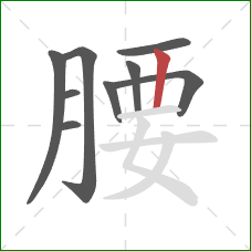 腰的笔顺第9画：竖