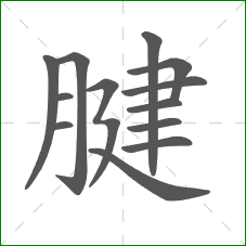 腱的部首 腱的部首