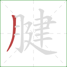 腱的笔顺第1画:撇 腱的笔顺第1画:撇