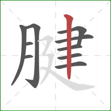 腱的笔顺第10画:竖 腱的笔顺第10画:竖