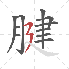 腱的笔顺第11画:横折折撇 腱的笔顺第11画:横折折撇