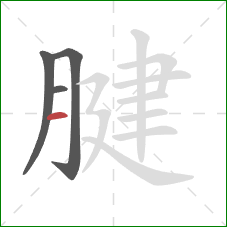 腱的笔顺第4画:横 腱的笔顺第4画:横