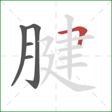 腱的笔顺第5画:横折 腱的笔顺第5画:横折