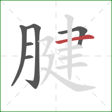 腱的笔顺第6画:横 腱的笔顺第6画:横