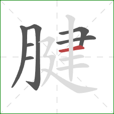 腱的笔顺第7画:横 腱的笔顺第7画:横