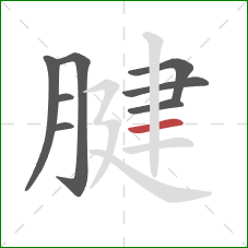 腱的笔顺第8画:横 腱的笔顺第8画:横