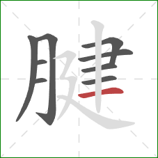 腱的笔顺第9画:横 腱的笔顺第9画:横