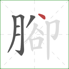 腳的笔顺第6画：点