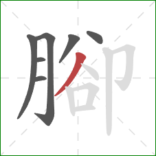 腳的笔顺第7画：撇