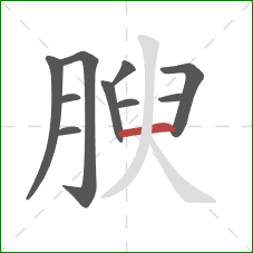 腴的笔顺第10画：横