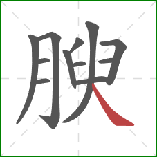 腴的笔顺第12画：捺