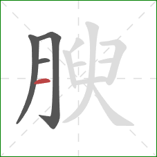 腴的笔顺第4画：横