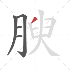 腴的笔顺第5画：撇