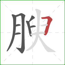 腴的笔顺第8画：横折