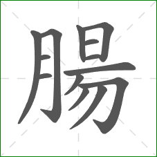 腸的部首 腸的部首