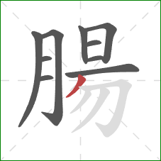 腸的笔顺第10画:撇 腸的笔顺第10画:撇