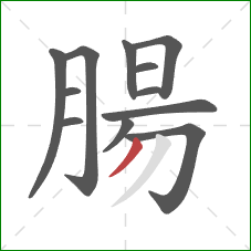 腸的笔顺第12画:撇 腸的笔顺第12画:撇