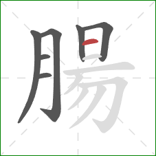 腸的笔顺第7画:横 腸的笔顺第7画:横