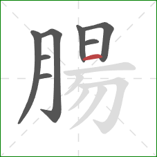 腸的笔顺第8画:横 腸的笔顺第8画:横