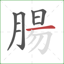 腸的笔顺第9画:横 腸的笔顺第9画:横