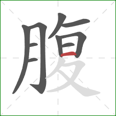 腹的笔顺第10画：横